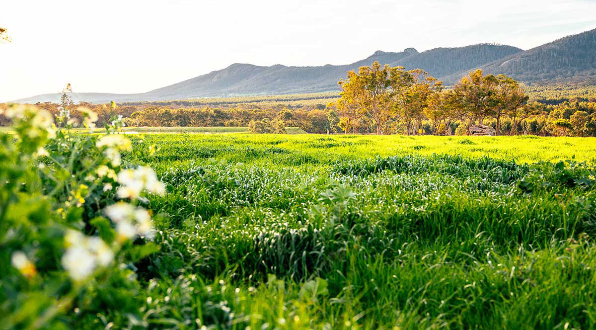 LVP Porongurups Farm